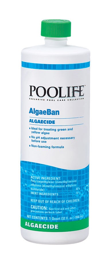 Algae Ban 2, 1 Quart